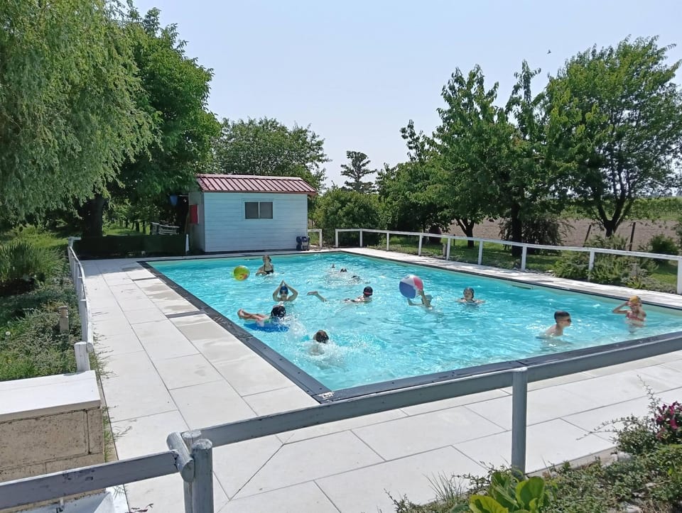 Swimming pool, Swimming pool