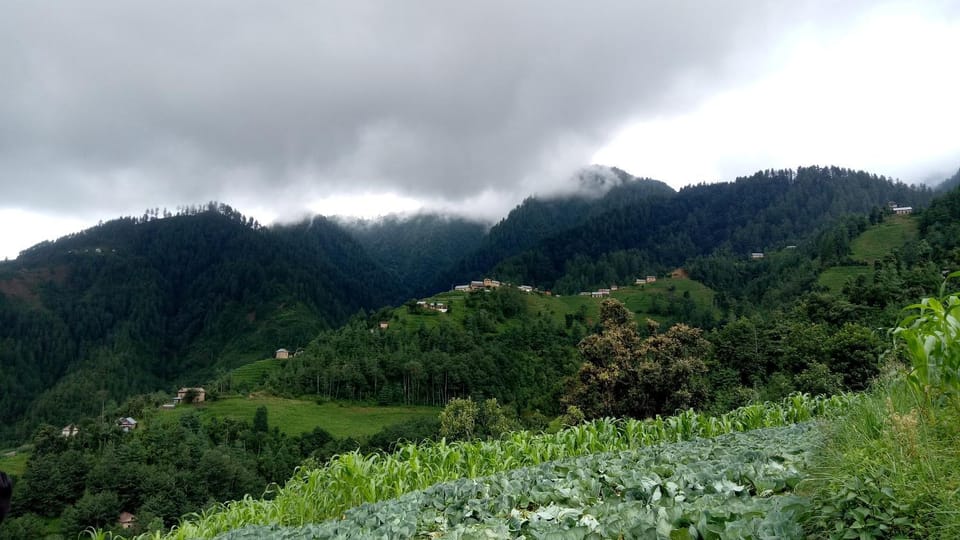 Natural landscape, Mountain view