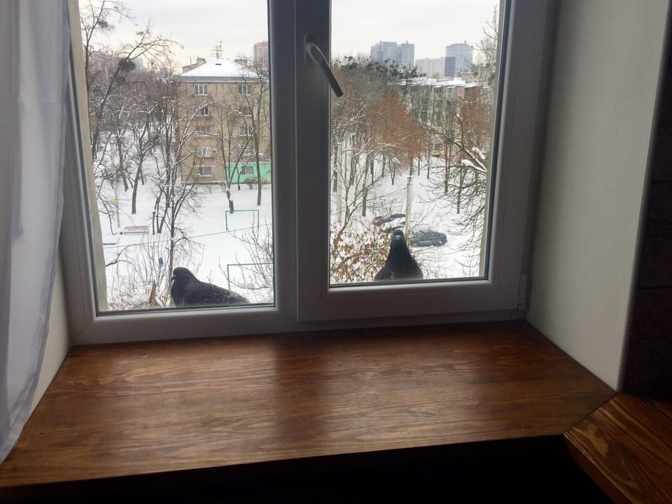 View (from property/room)