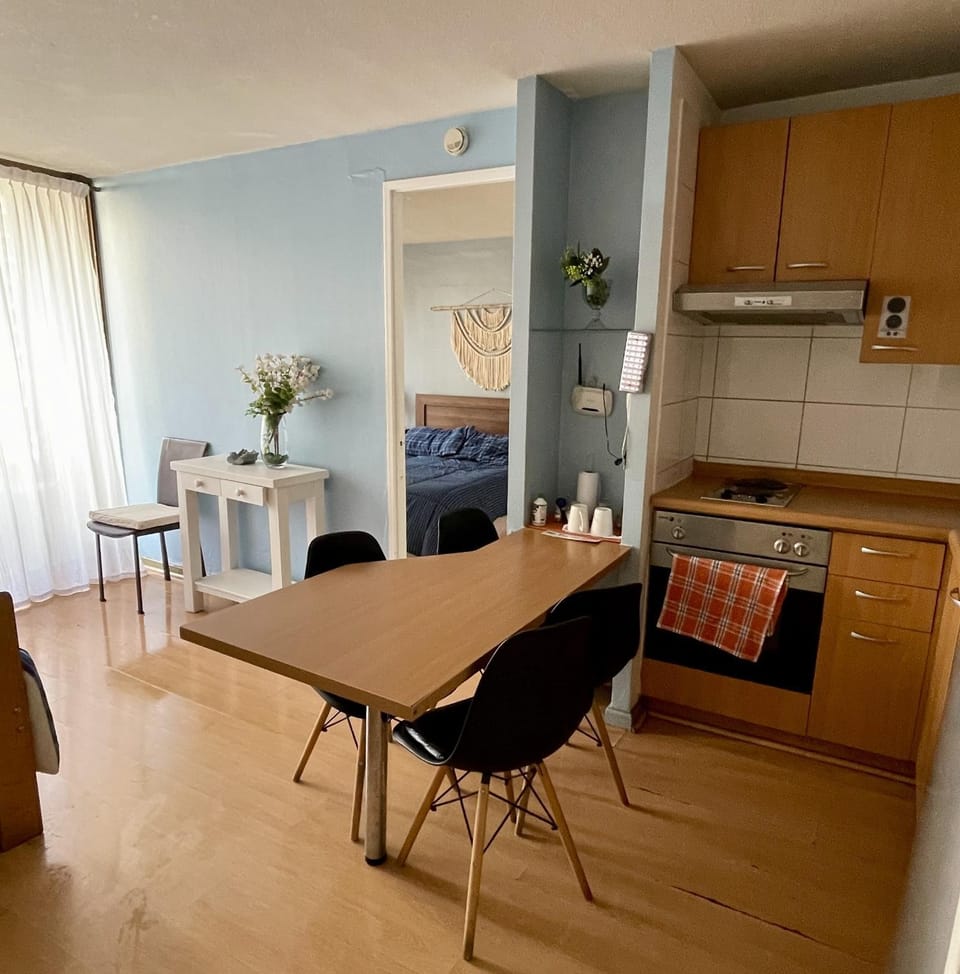 BA Suites Apartment in Santiago