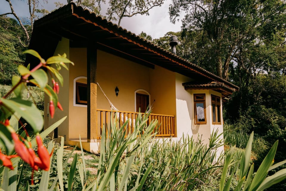 Property building, Spring, Garden, Garden view