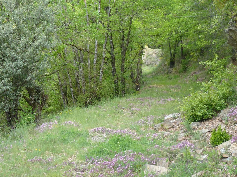 Natural landscape