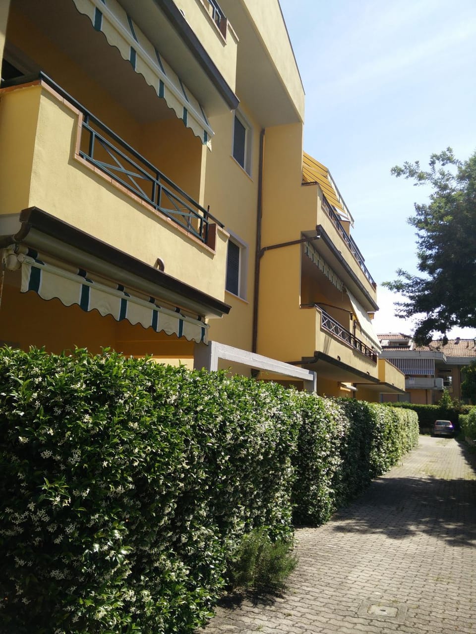 Property building