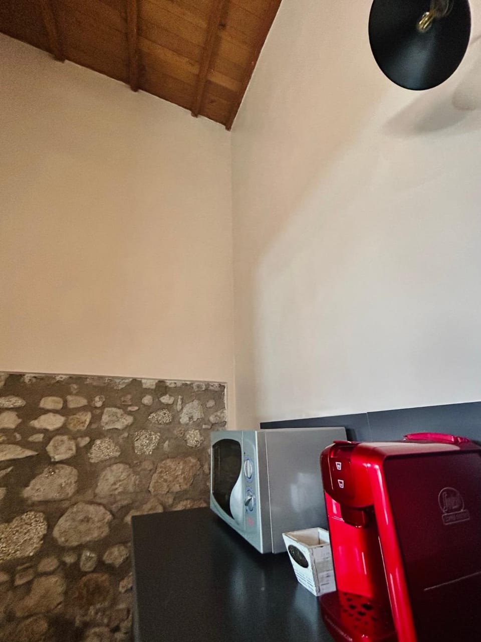 Kitchen or kitchenette, hair dresser, minibar
