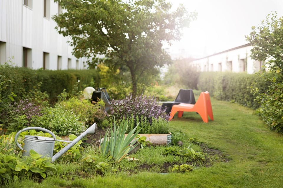Spring, Day, Natural landscape, Summer, Garden, Autumn
