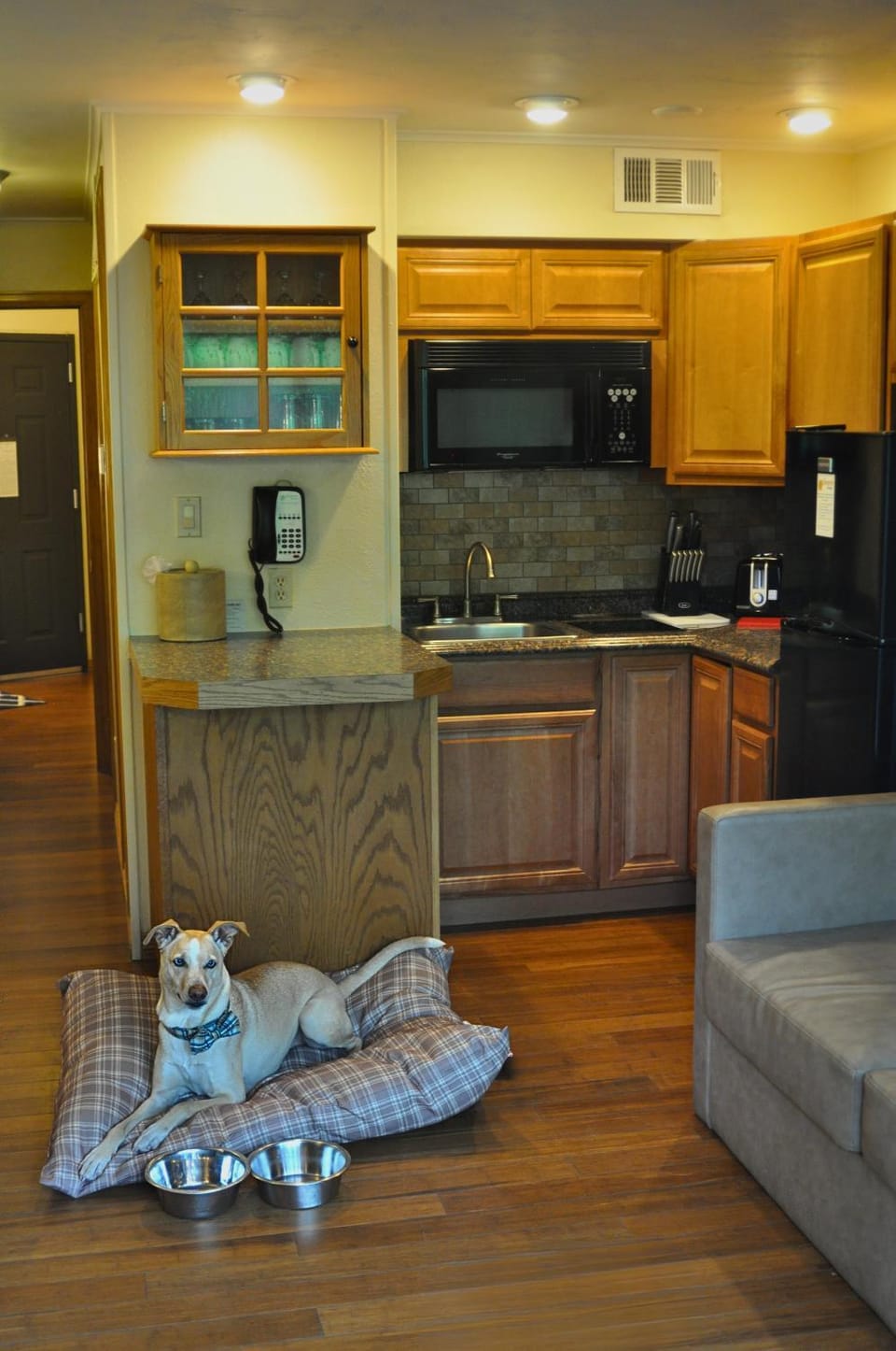 Kitchen or kitchenette, Pets