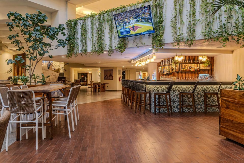 Lounge or bar
