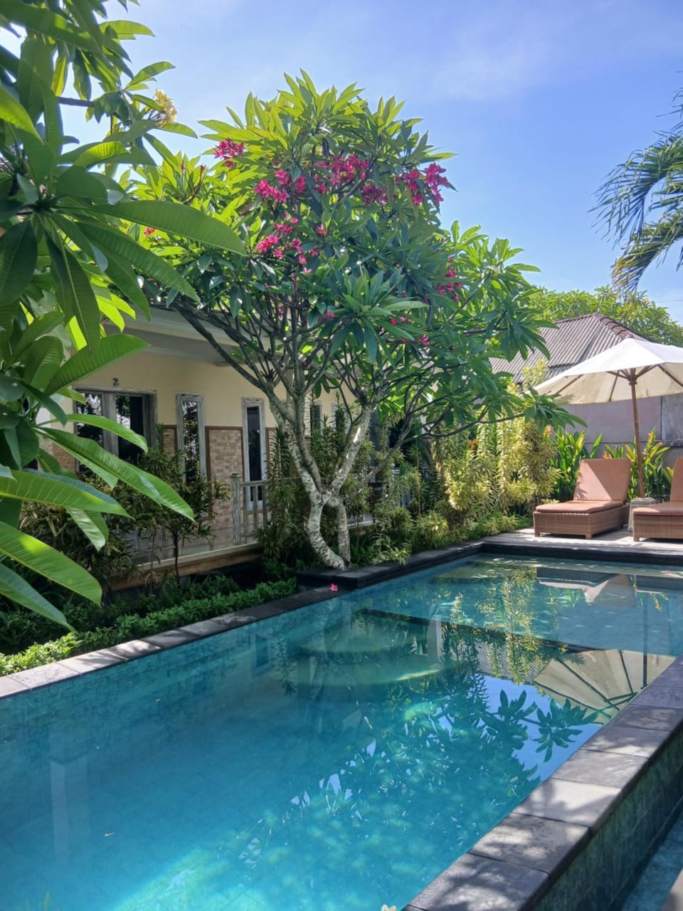 Walet's Paradise Bed and Breakfast in Nusapenida