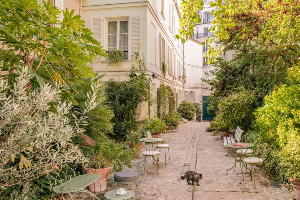 Patio, Garden, Garden view, Inner courtyard view