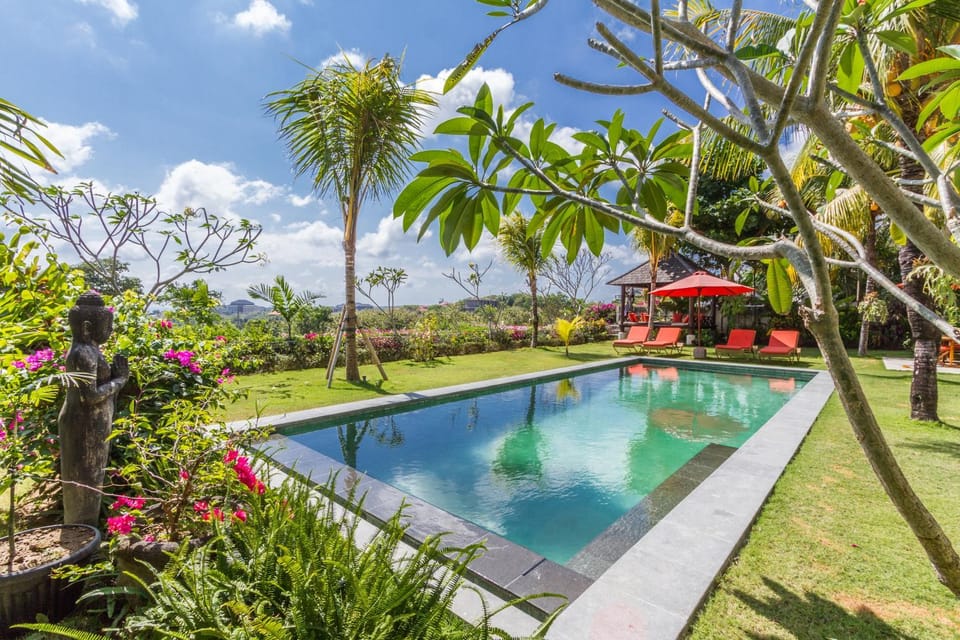 Garden, Pool view, Swimming pool, sunbed