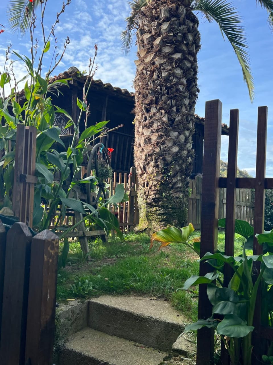 Spring, Day, Natural landscape, Garden, Garden view