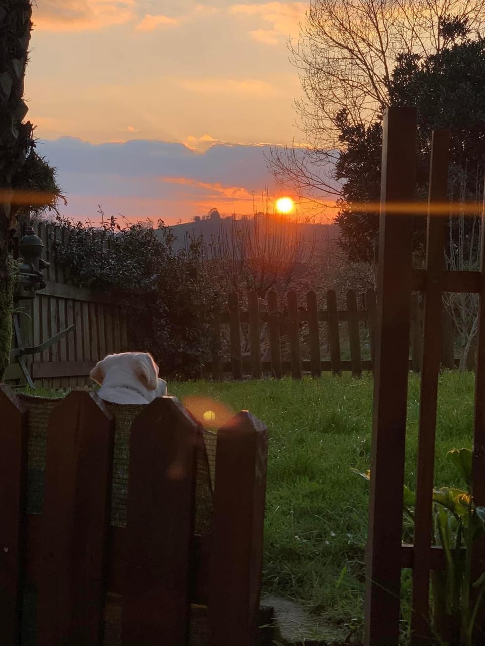 Spring, Day, Natural landscape, Sunrise, Sunset