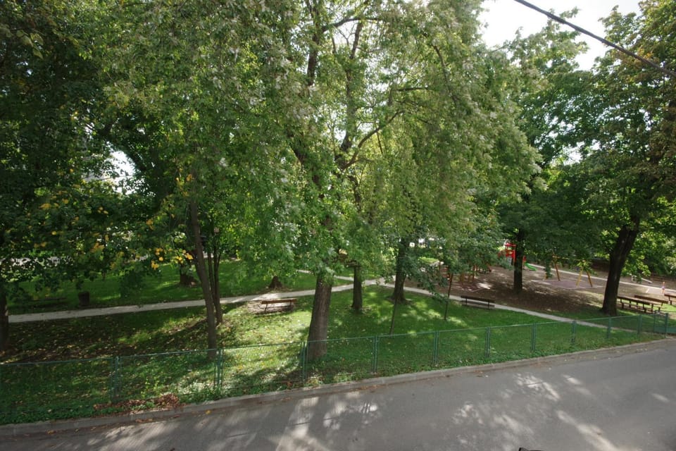 Bird's eye view, Street view