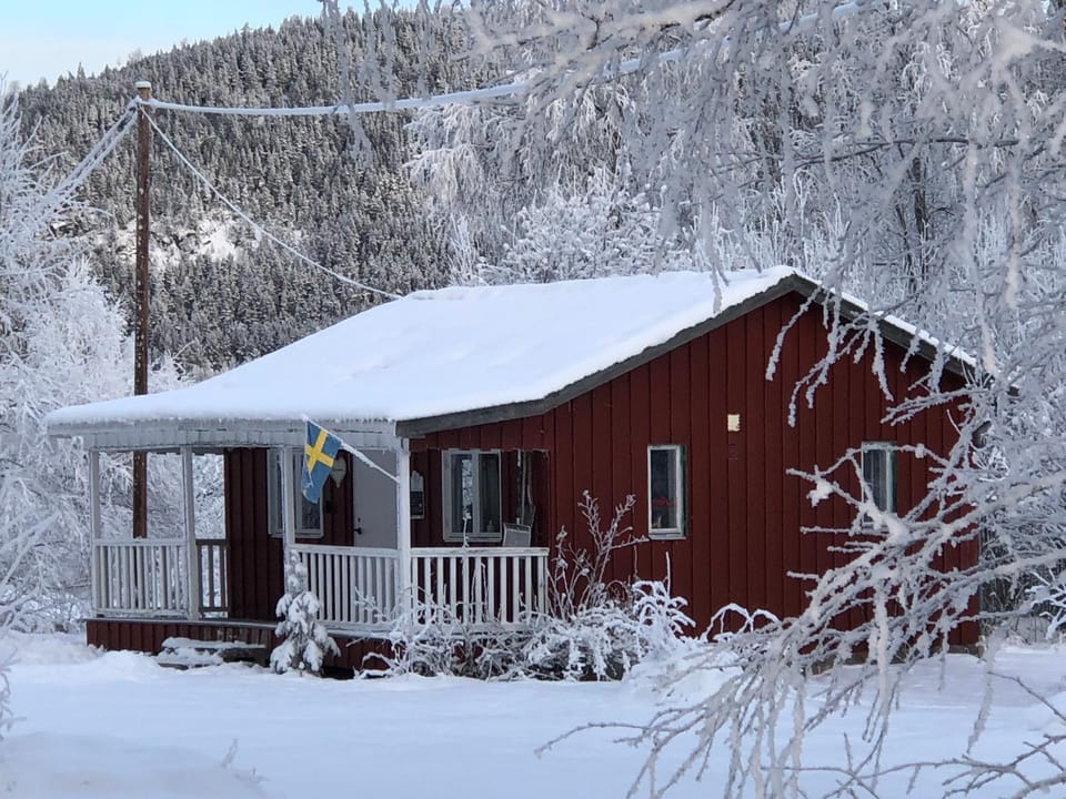 Property building, Winter