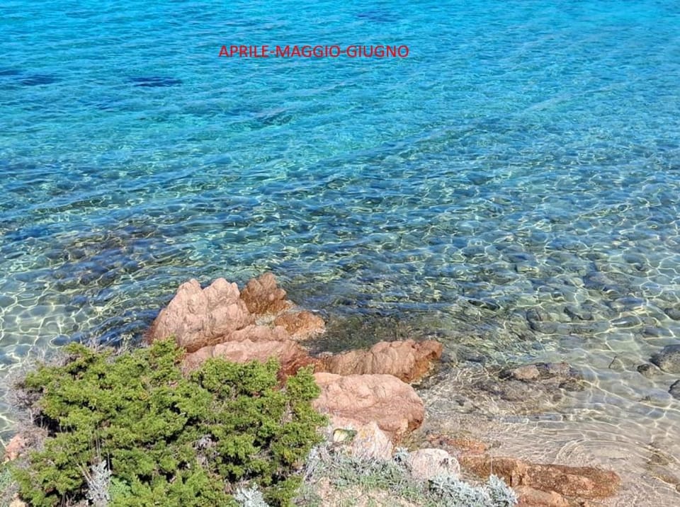 Chalet di campagna - da Aurora Bed and Breakfast in Sardinia