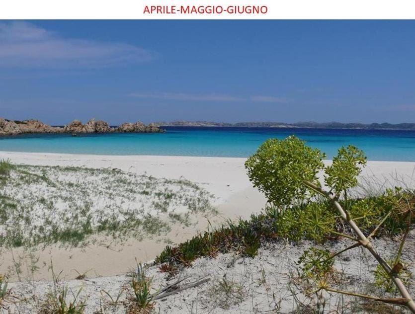 Chalet di campagna - da Aurora Bed and Breakfast in Sardinia