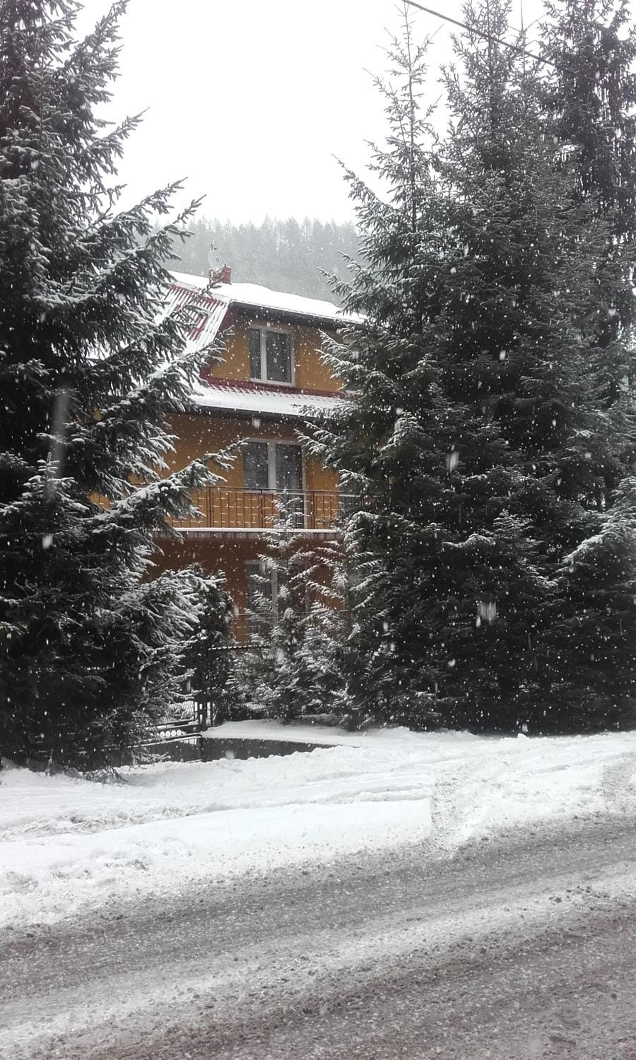 Property building, Winter
