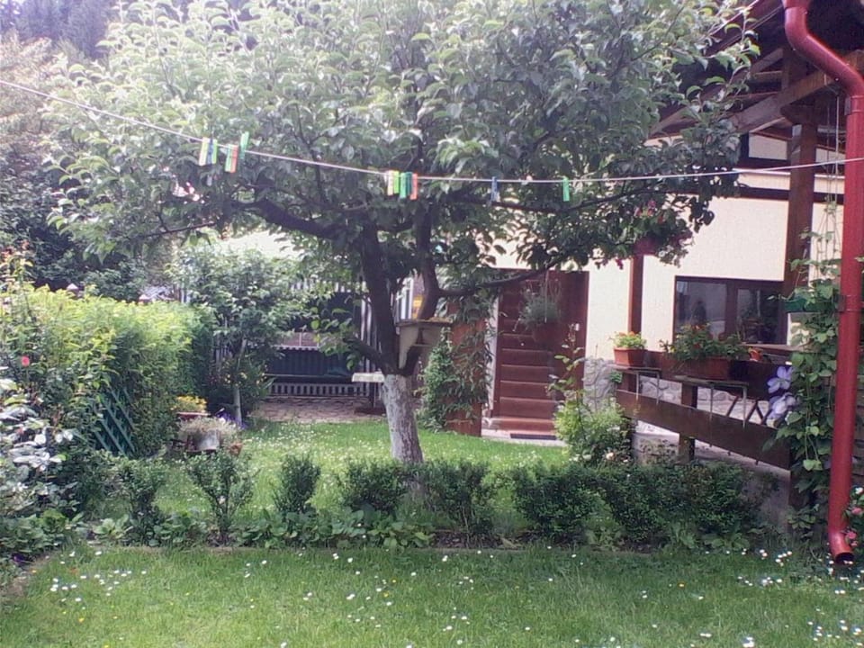 Property building, Garden