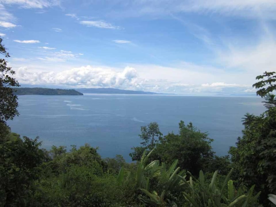 Sea view