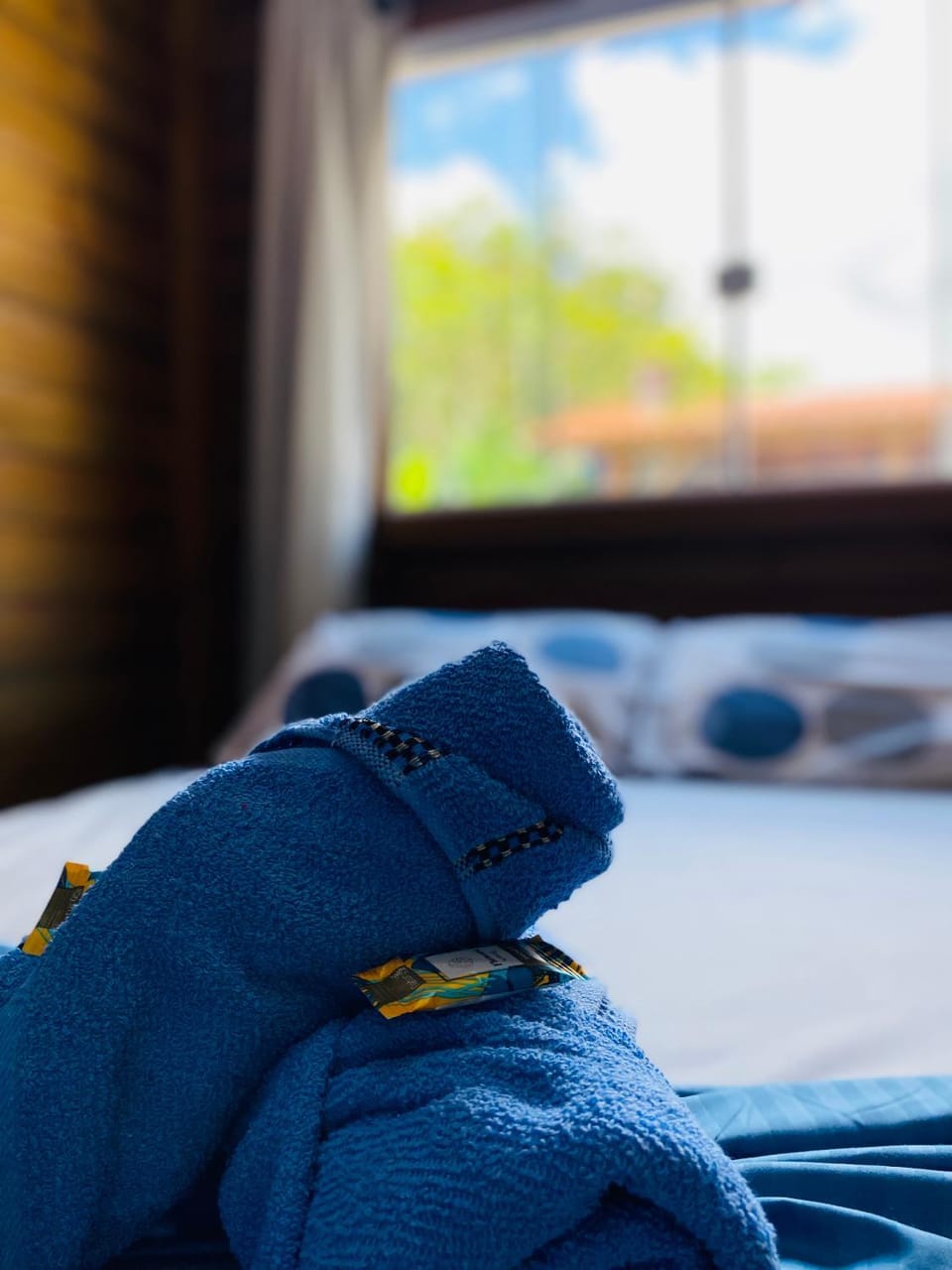 Chalés do Parque Hospedagem Bed and Breakfast in Penha