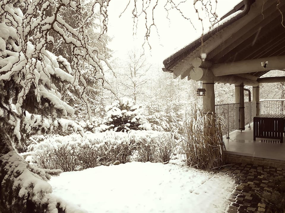 Property building, Winter