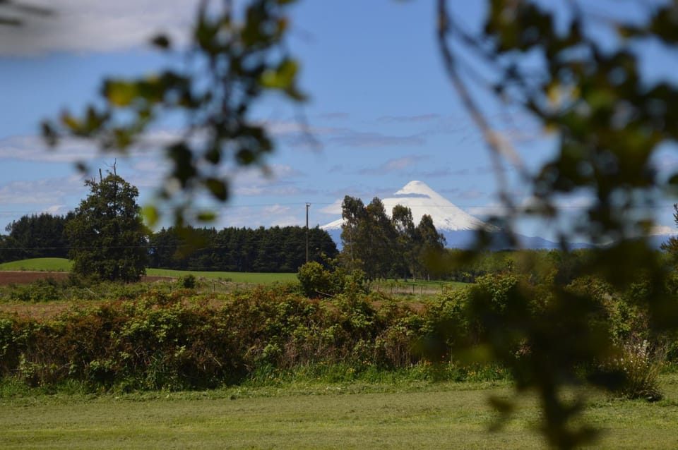 Natural landscape