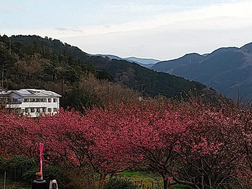 Facade/entrance, Spring, Natural landscape, Bird's eye view