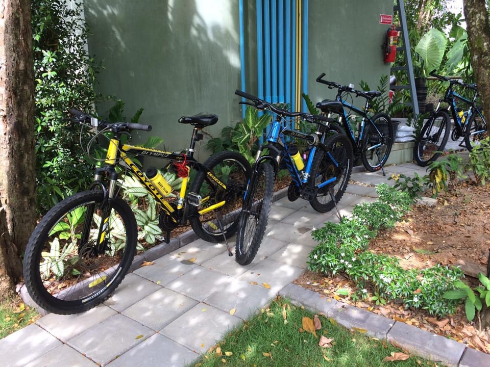 Cycling