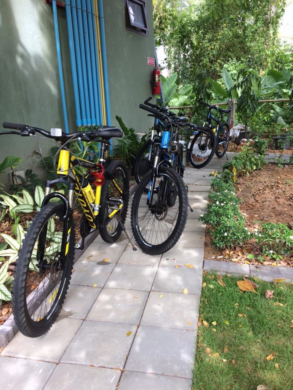 Cycling
