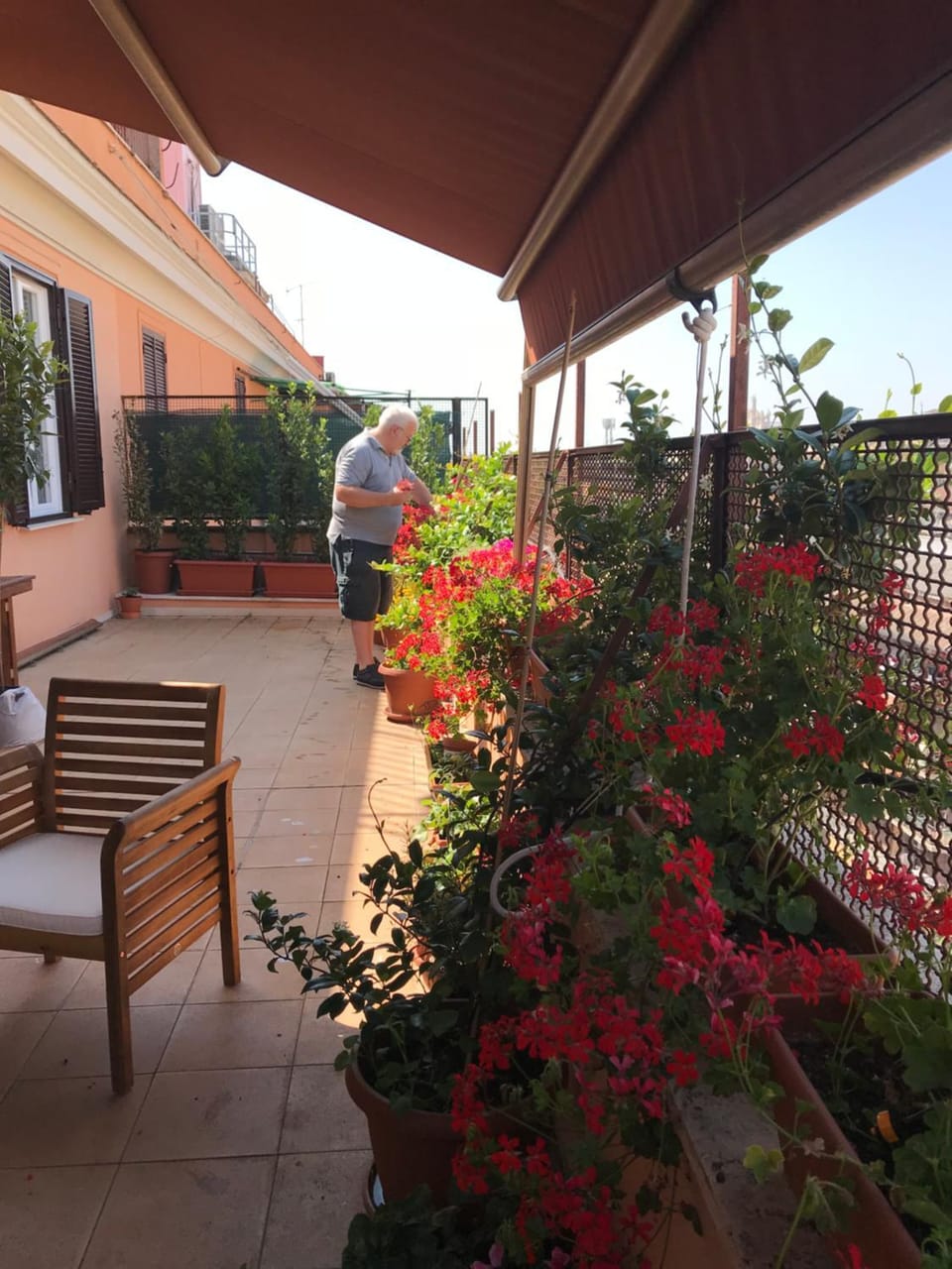 La Terrazza di Evelina Guest House Bed and Breakfast in Rome