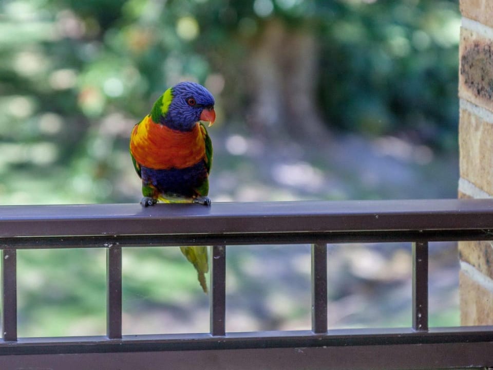 Bay Parklands 28 pool tennis court and stunning views Apartment in Nelson Bay