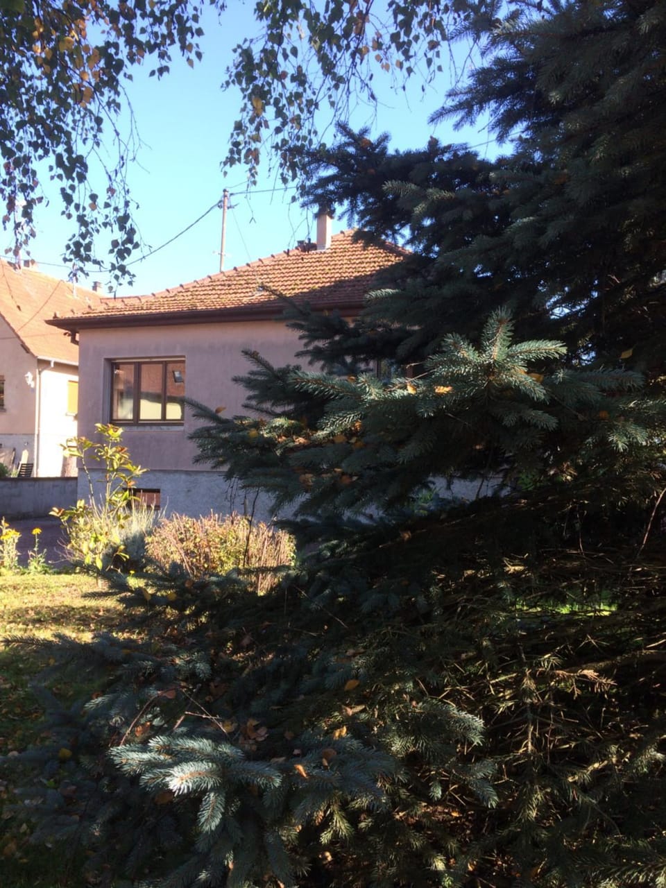 Autumn, Garden view