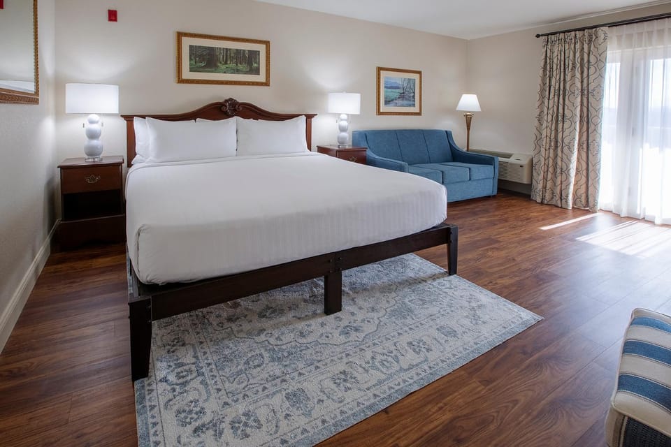 Bed, Seating area, Bedroom