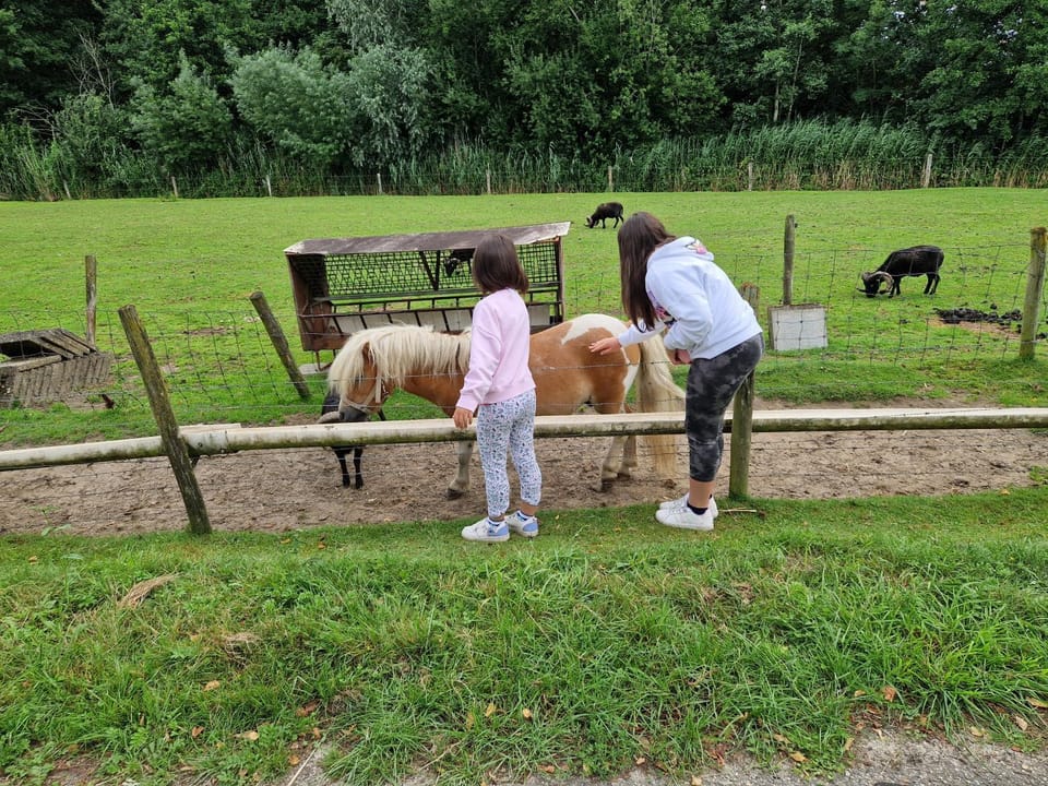 Day, People, Natural landscape, Animals, children