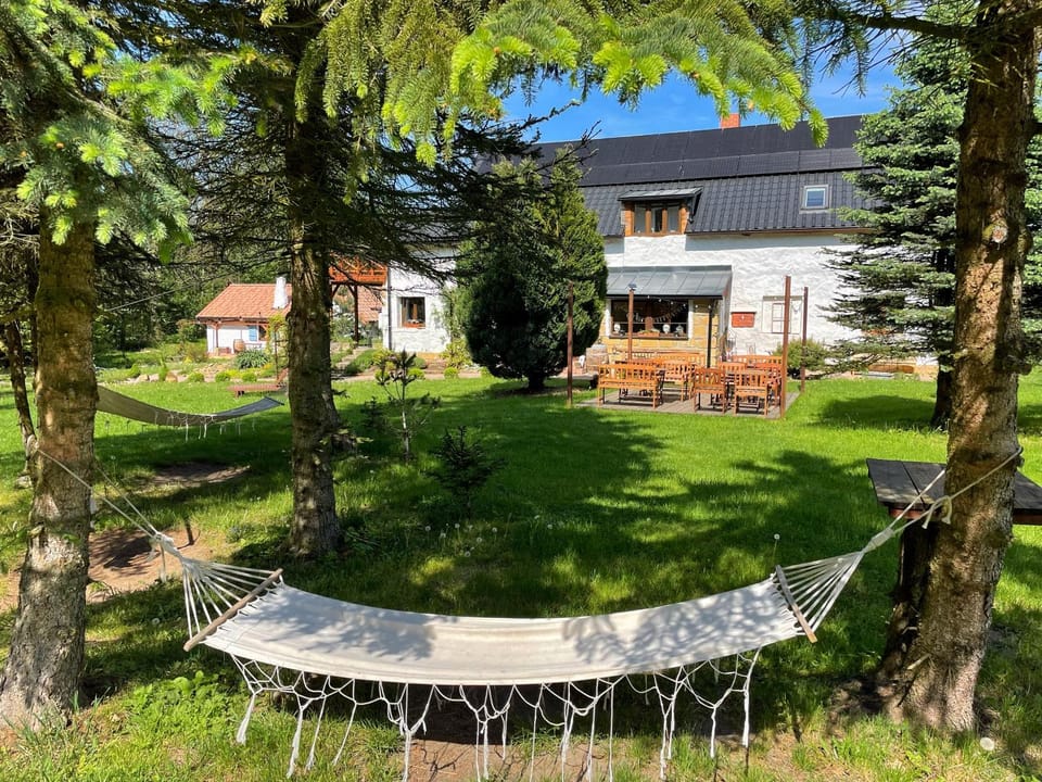 Garden, Balcony/Terrace