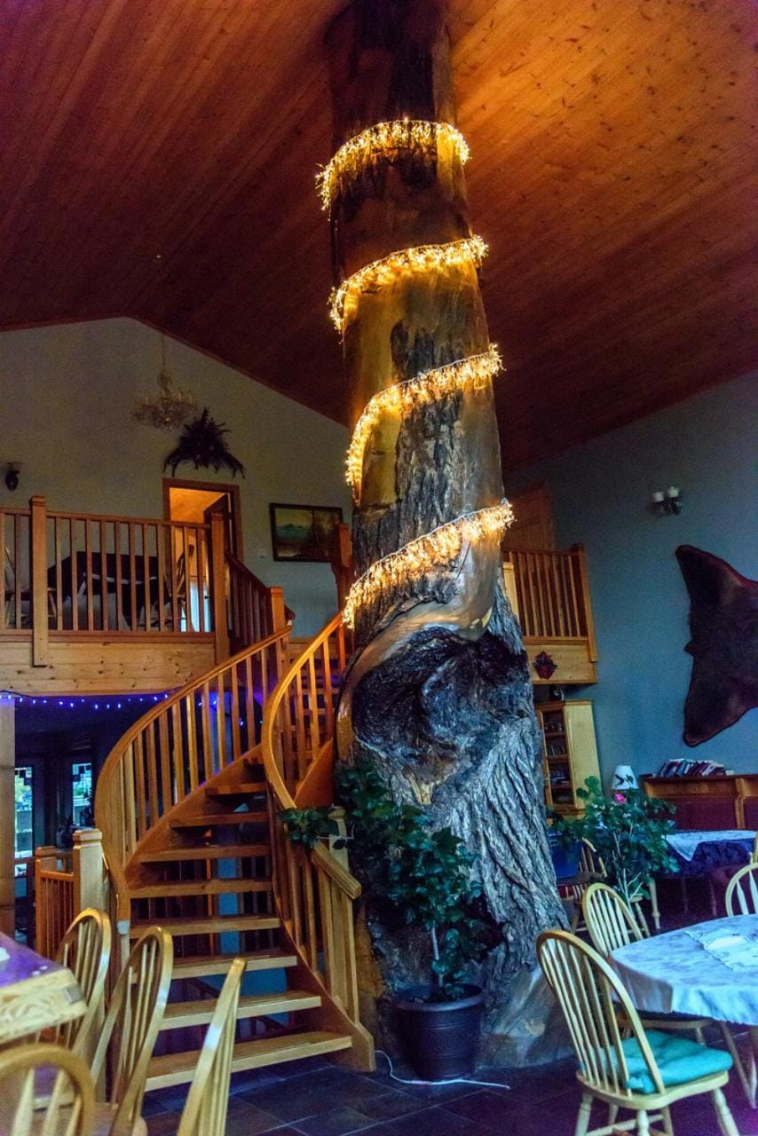 Glenogle Mountain Lodge Nature lodge in Columbia-Shuswap A
