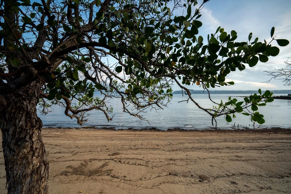 Day, Natural landscape, Beach