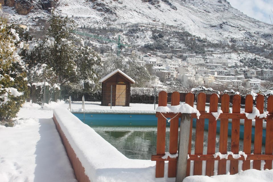 Winter, Pool view, Swimming pool