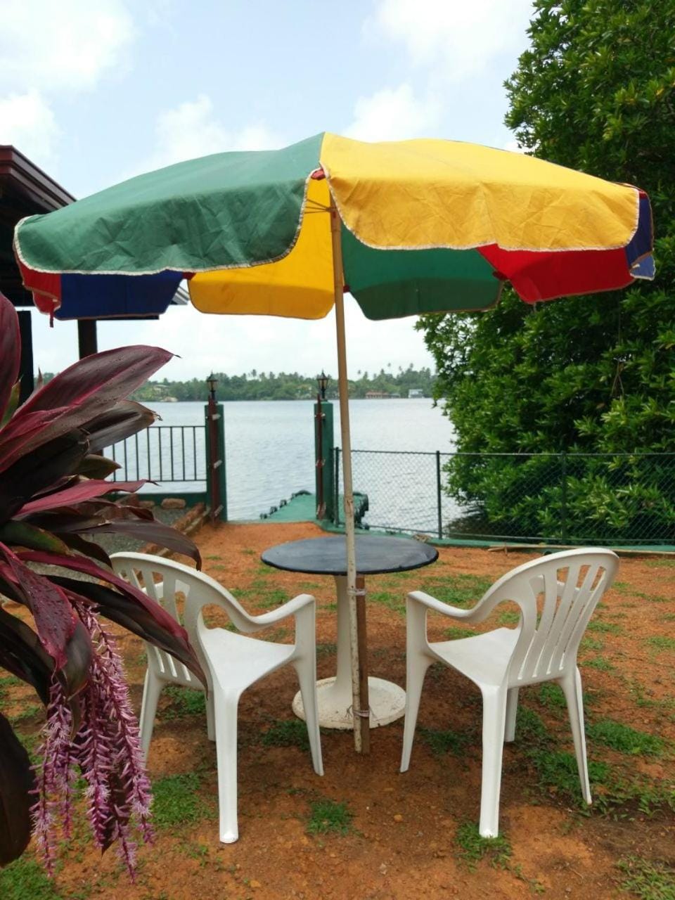 Restaurant/places to eat, Food and drinks