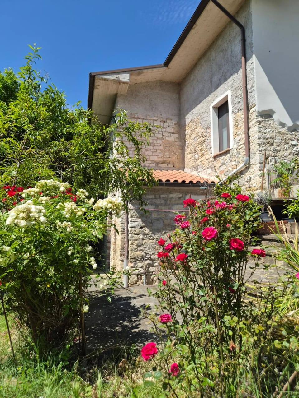 Agriturismo Vallonga Farm Stay in Umbria
