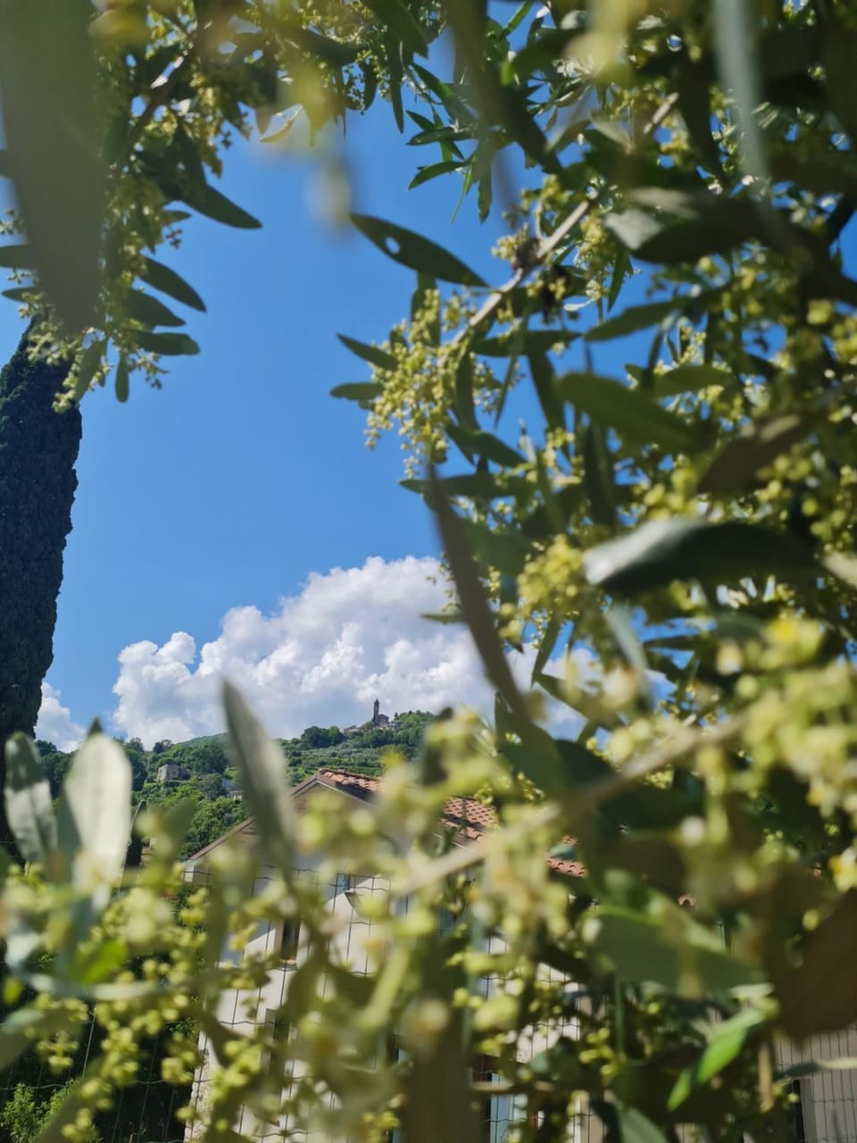 Agriturismo Vallonga Farm Stay in Umbria