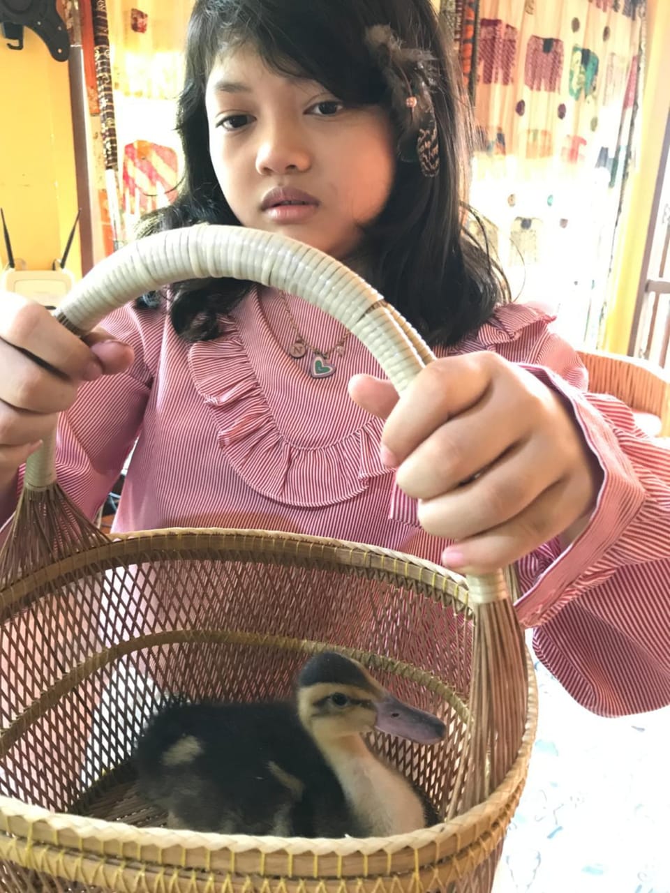 Baan Til Dao Pround Fah House in Laos