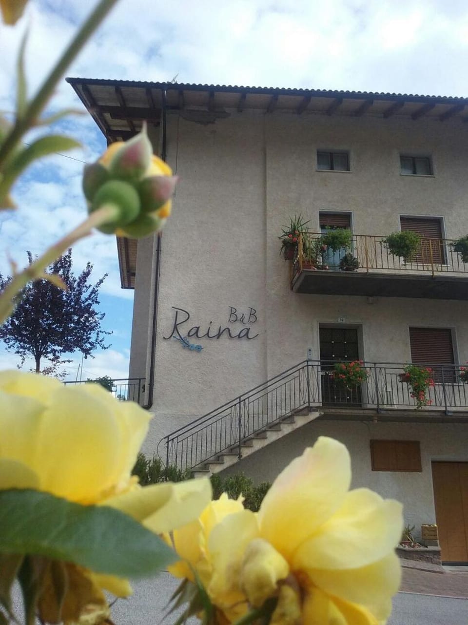 B&B RAINA Bed and Breakfast in Trentino-South Tyrol