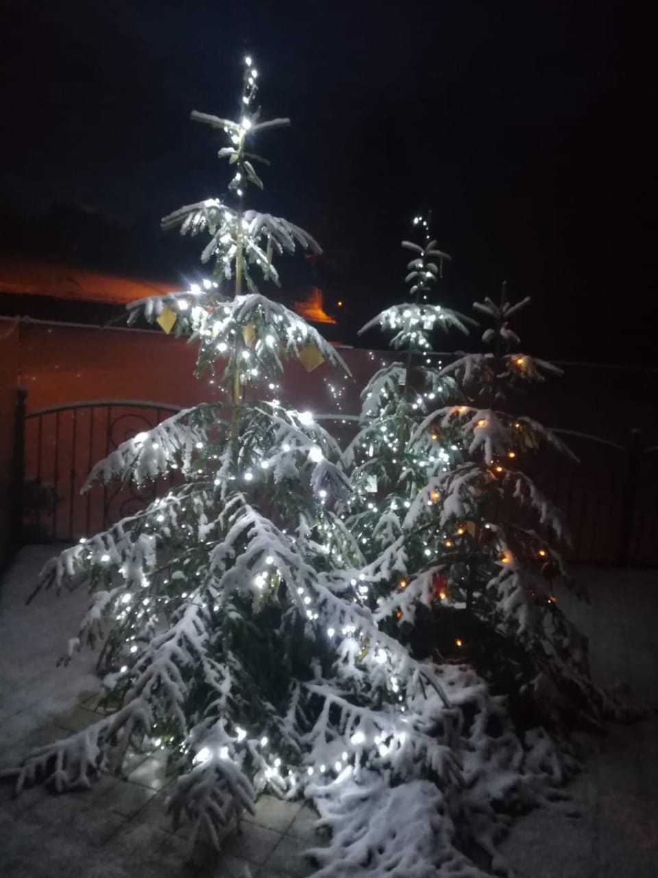 B&B RAINA Bed and Breakfast in Trentino-South Tyrol