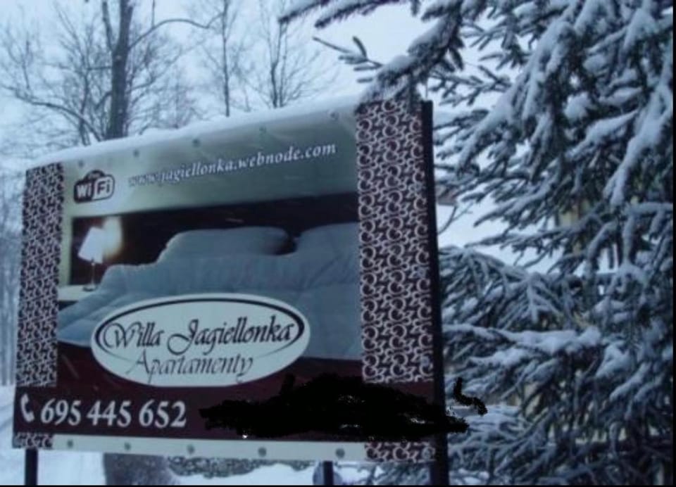 Willa Jagiellonka centrum blisko termy i dworzec Apartment in Zakopane