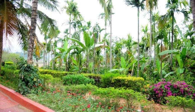 Simply Coorg Estate Villa Vacation rental in Kerala