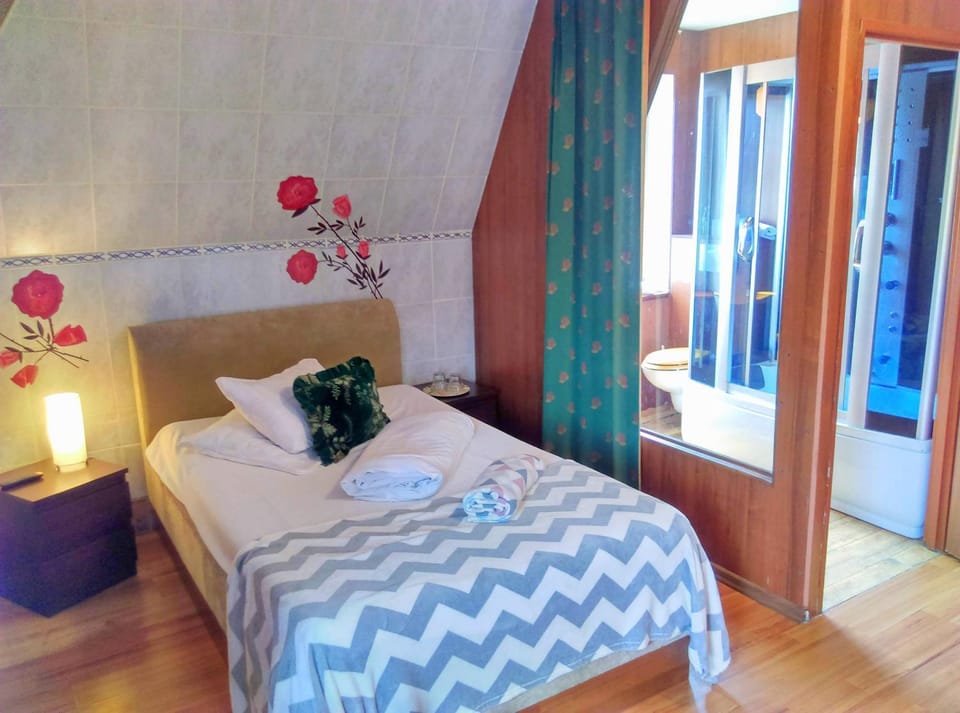 Shower, Toilet, Bathroom, TV and multimedia, Photo of the whole room, Seating area, Bedroom