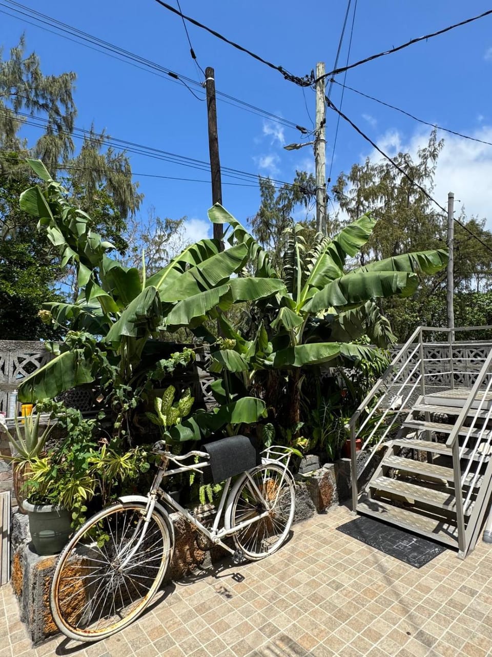 JN sunflower residence Bed and Breakfast in Rivière Noire District, Mauritius