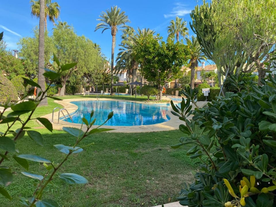 Garden, Pool view, Swimming pool