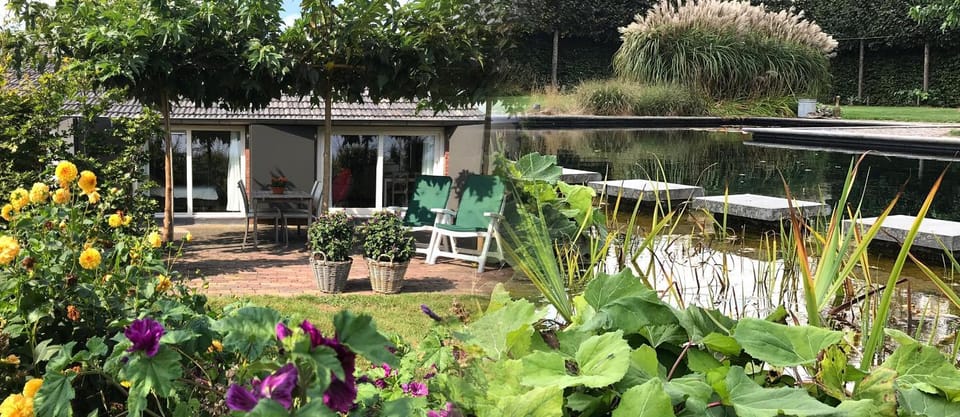 Natural landscape, Garden, Garden, Swimming pool, Swimming pool, Swimming pool